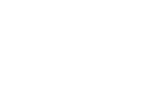 Mass Group Holding logo
